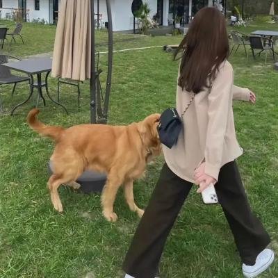 黑蟹行动:无尽寒冬